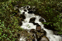 _DSC4922.JPG