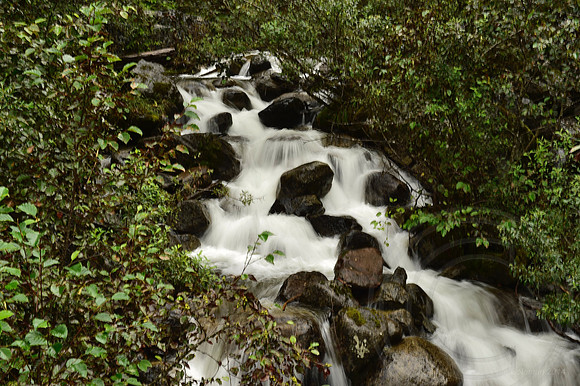 _DSC4922.JPG