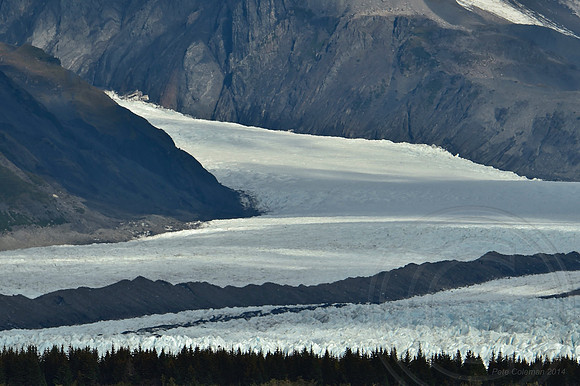 _DSC4662.JPG