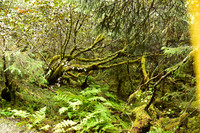 _DSC4891.JPG