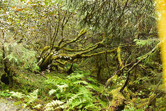 _DSC4891.JPG