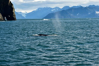 _DSC4600.JPG