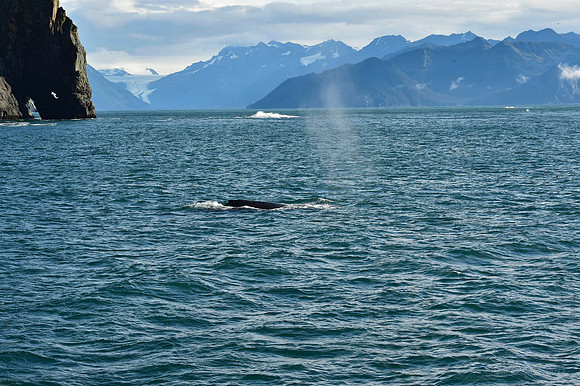 _DSC4600.JPG