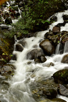 _DSC4915.JPG