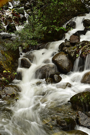 _DSC4915.JPG