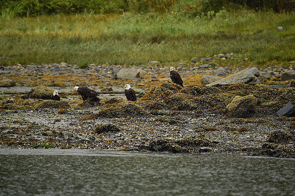 _DSC4958.JPG